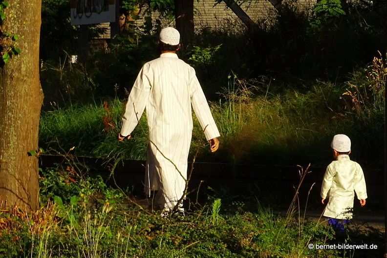 16-07-06-van heuven goedhartlaan-002.JPG