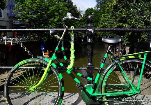 16-07-06-zentrum-oudegracht-fahrrad-gruen-