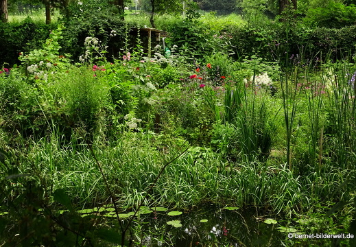 16-07-07-park oog in al-051