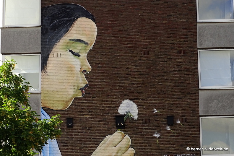 16-07-08-am rhein-graffito-002.JPG