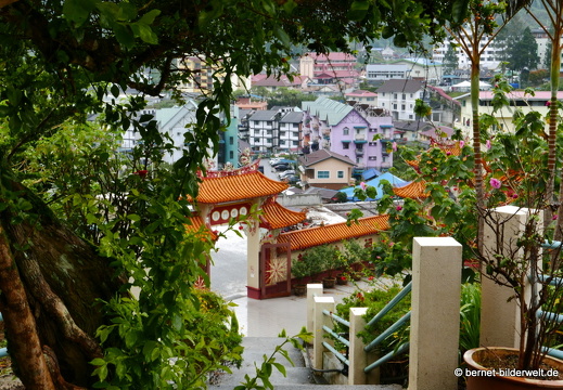 3. Cameron Highlands