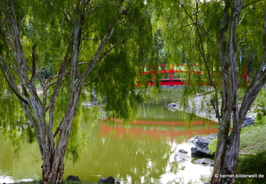 17-01-19-ipoh-dr seenivasagampark-005