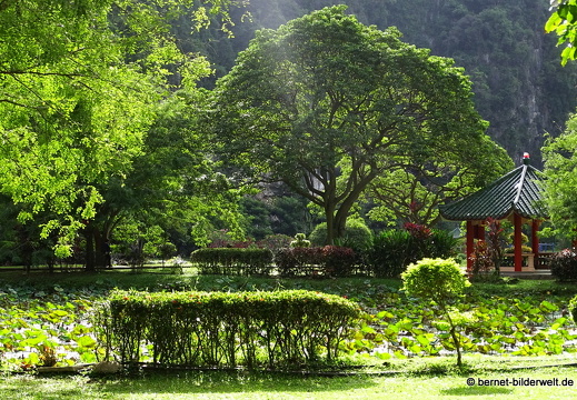 17-01-20-ipoh-tempelanlage- kek look tong-132