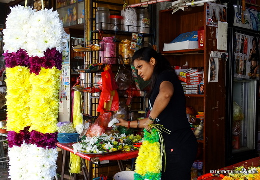 17-01-28-taiping-city-chinesisches neujahr-194