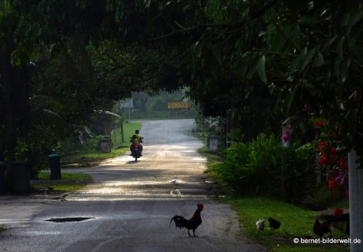 17-02-04-kulim-076