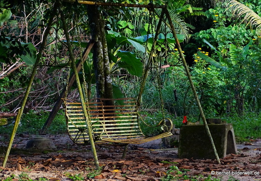 17-02-06-kulim-059