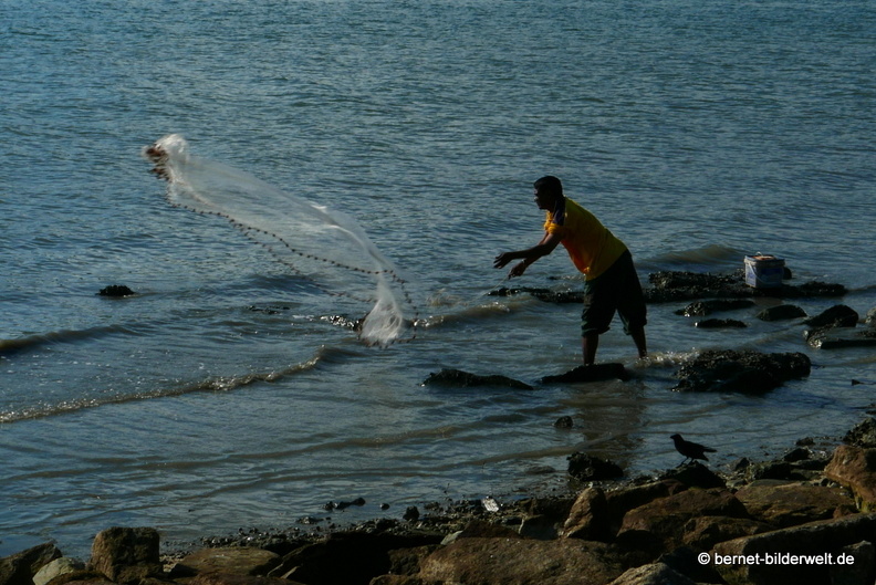 17-02-18-bayanlepas-am meer-fischer-009.JPG