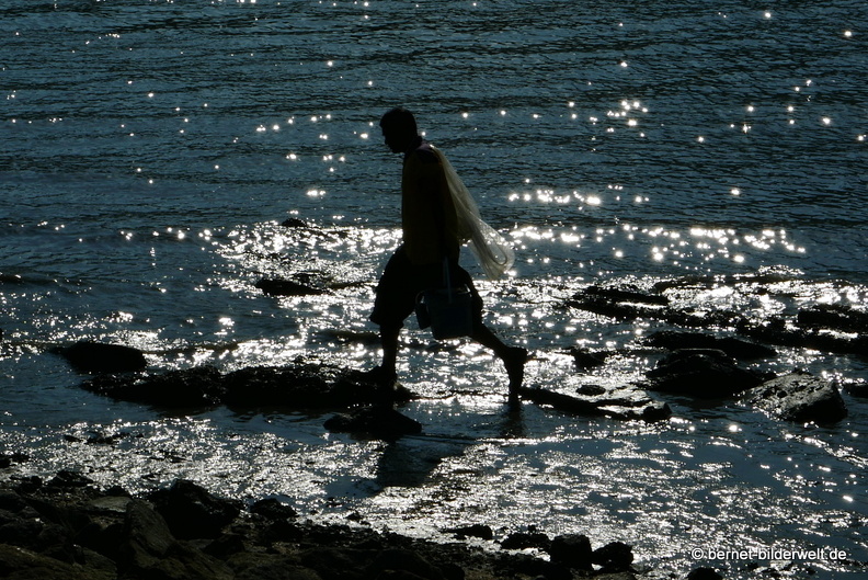 17-02-18-bayanlepas-am meer-fischer-015.JPG