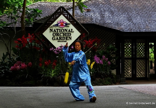 17-02-21-singapur-botanischergarten-036