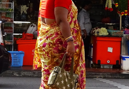 17-02-23-singapur-littleindia-222