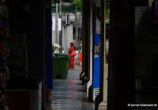 17-02-23-singapur-littleindia-274