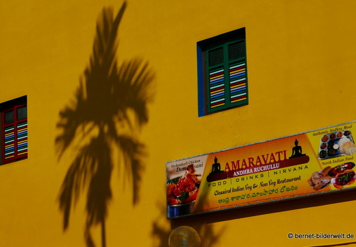 17-02-23-singapur-littleindia-341