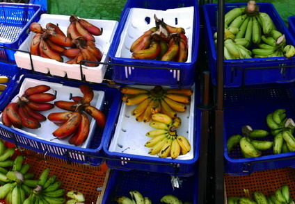 17-02-23-singapur-littleindia-359