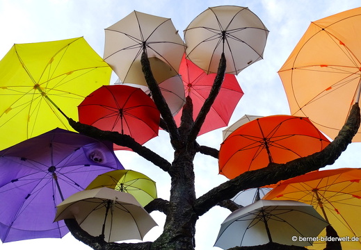 17-02-23-singapur-littleindia-schirmkunst-009