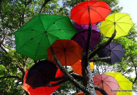 17-02-23-singapur-littleindia-schirmkunst-034