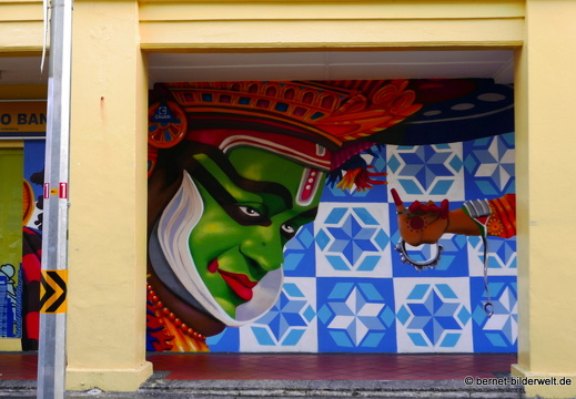 17-02-23-singapur-littleindia-streetart-018