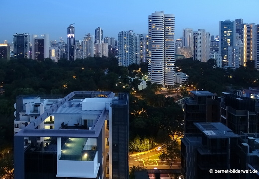 17-02-23-singapur-balmoralpark-aussicht-007 Linienkorrektur