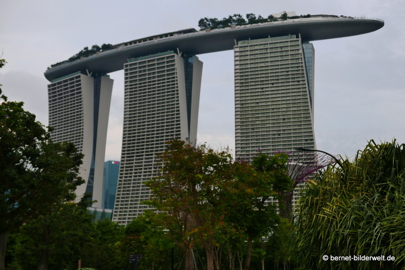 17-02-24-gardensbythebay-105.JPG