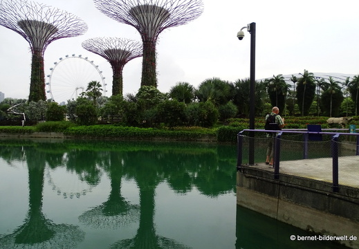 17-02-24-gardensbythebay-117