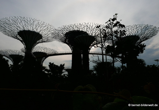 17-02-24-gardensbythebay-214