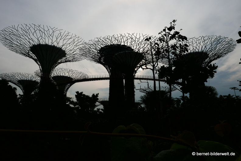 17-02-24-gardensbythebay-214.JPG