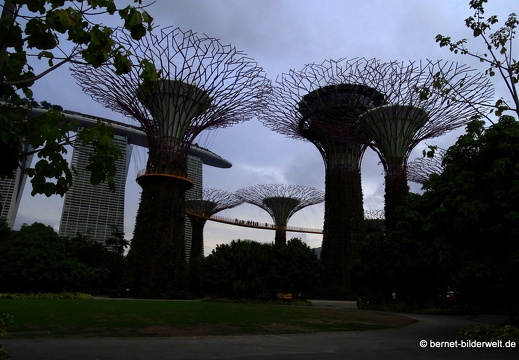 17-02-24-gardensbythebay-272