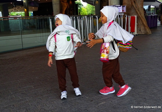 17-02-24-gardensbythebay-379