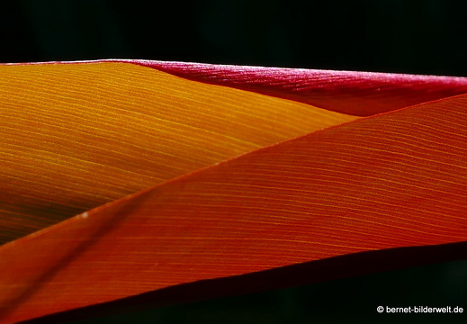 17-02-17-penanghill-thehabitat-073