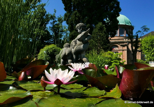16-06-06-schloss-botanischer-garten-009