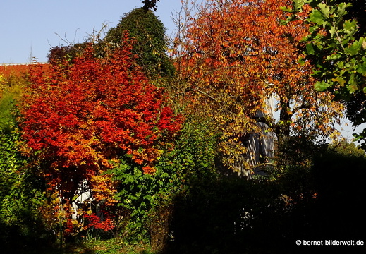 16-10-30-herbstapaziergang-010