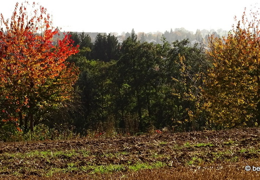 16-10-30-herbstapaziergang-019