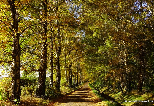16-10-30-herbstapaziergang-053