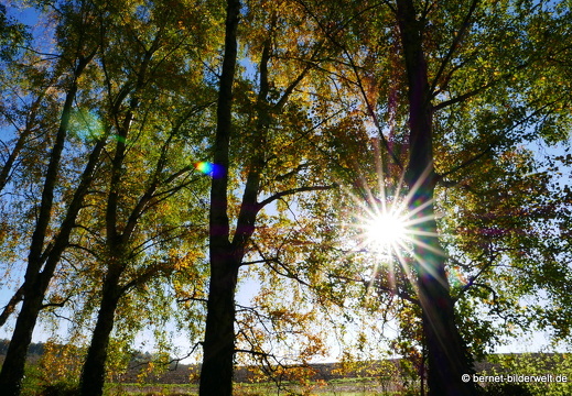 16-10-30-herbstapaziergang-067