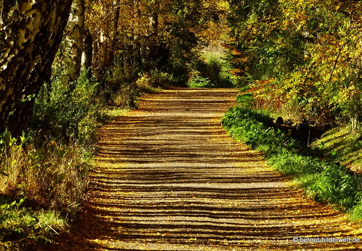 16-10-30-herbstapaziergang-059