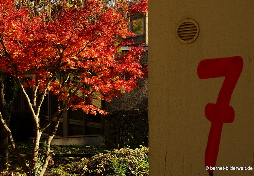 16-10-30-herbstapaziergang-elsa-braendstroem-strasse-002