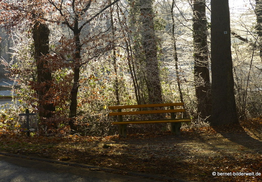 16-12-08-bergwaldsiedlung-rauhreif-098