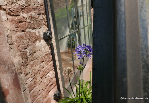 16-06-06-schloss-botanischer-garten-021