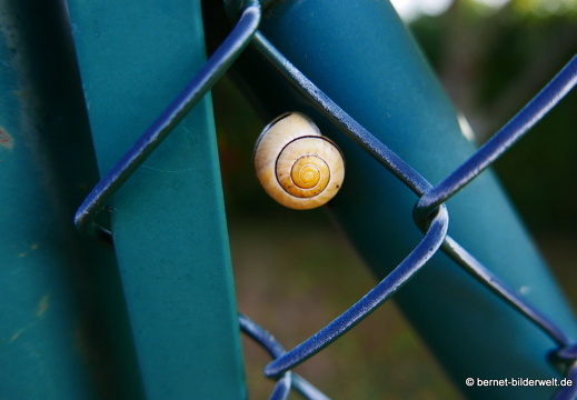 16-09-10-schrebergarten-durlach-004