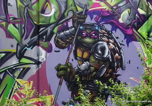 16-06-05-alb-graffiti-008
