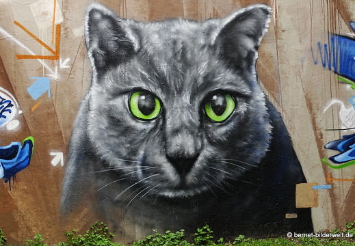 16-06-05-alb-graffiti-044