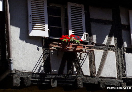 17-08-21-colmar-190
