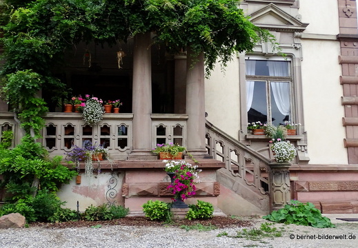 17-08-21-colmar-wohnung-033