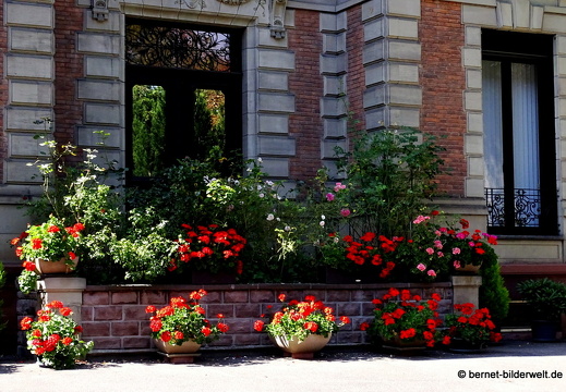 17-08-23-2-colmar-004