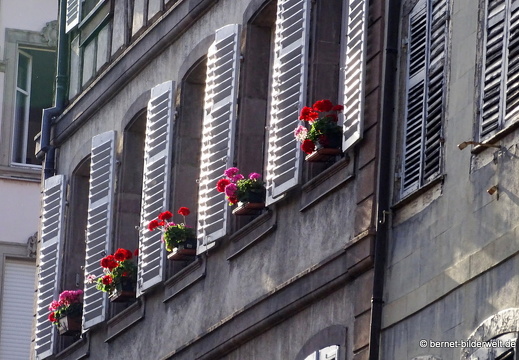 17-08-24-colmar-077