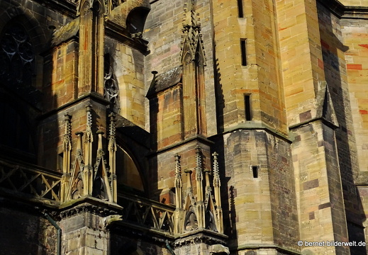 17-08-24-colmar-stiftskirche st martin-