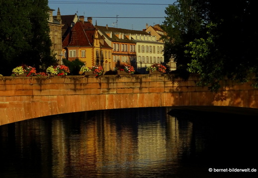 17-06-19-strasbourg-ill-quai des bateliers- 19.06.2017 06-37-28