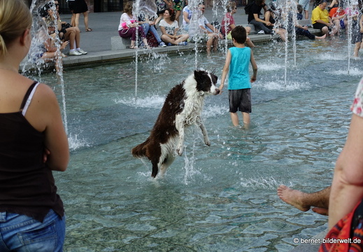 17-06-21-strasbourg-musikfestival-080