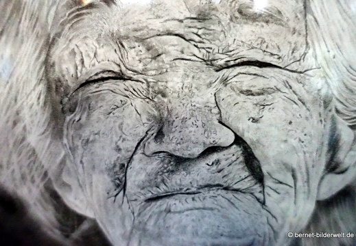 17-06-14-landratsamt-ausstellung-001