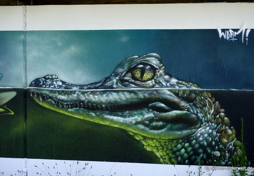 17-07-05-durlach-aue-graffito-