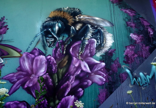 17-07-05-durlach-aue-graffito-005